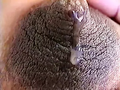 கருங்காலிப் பெண்ணின் ...